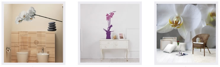 Orchidee-Motive-Wandsticker